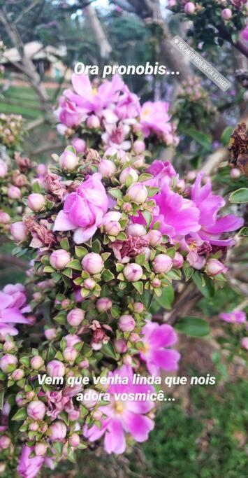 Recanto Dos Beija Flores, Chale Lantana C Monte Alegre do Sul Εξωτερικό φωτογραφία